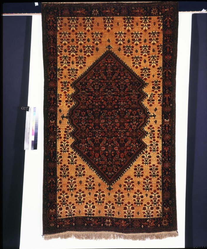 Persian carpet — 1876