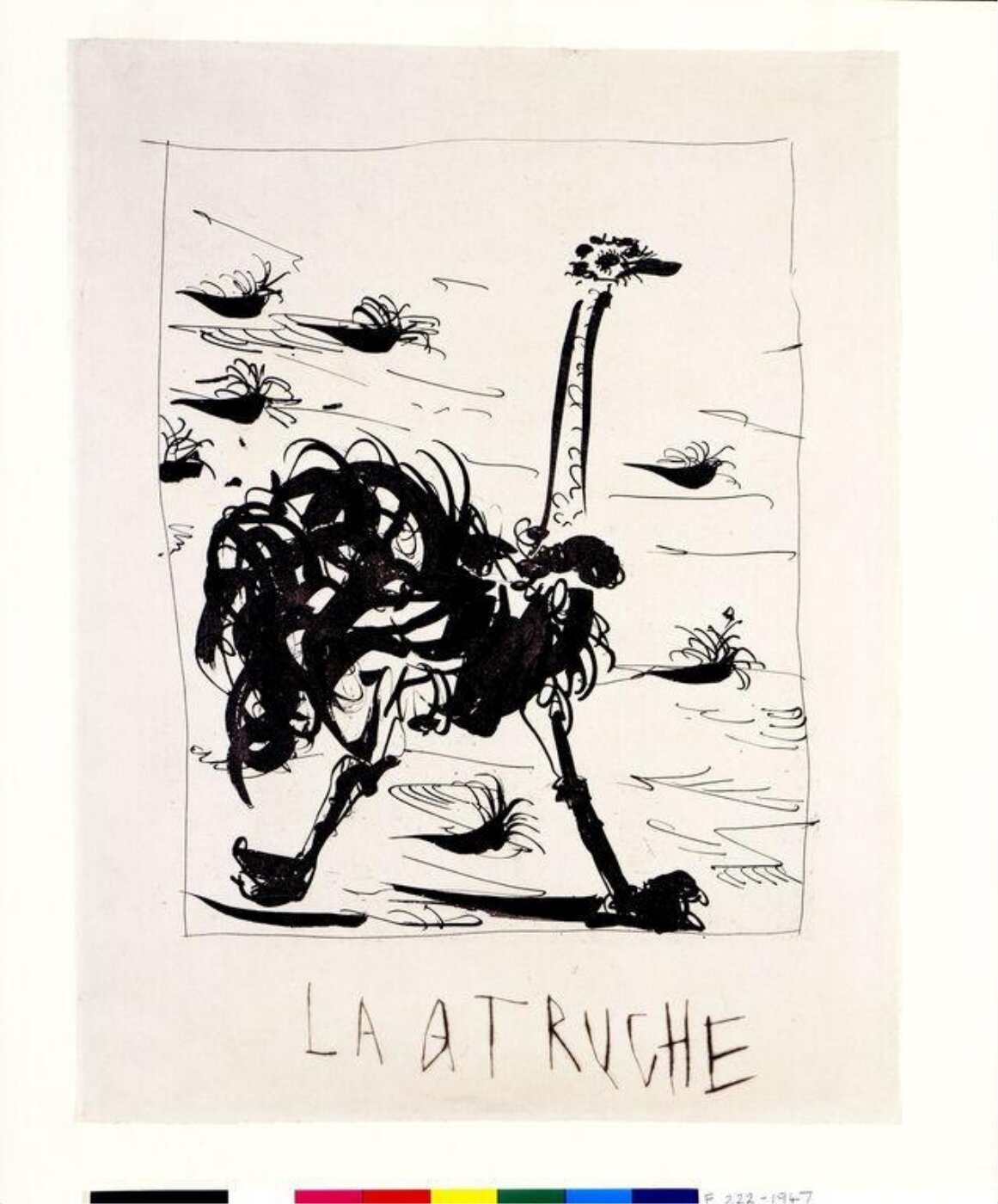 Pablo Picasso, The Ostrich