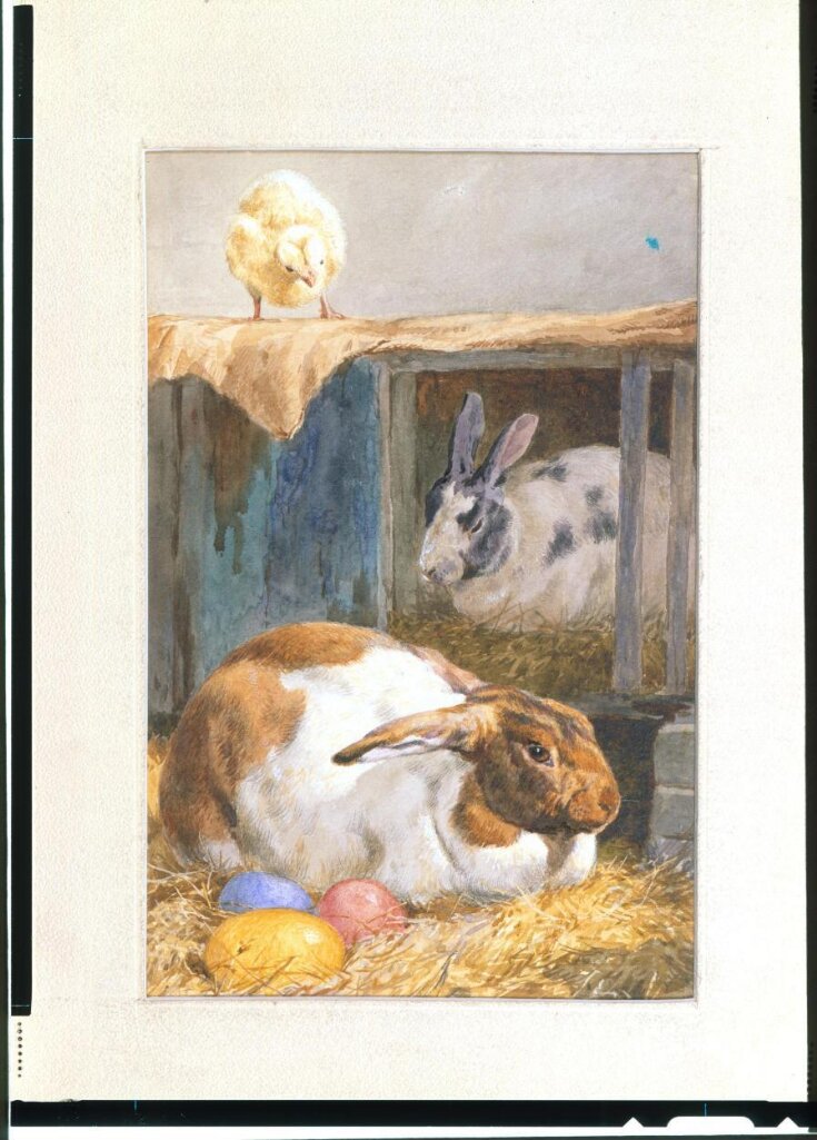 Two rabbits and a chick top image