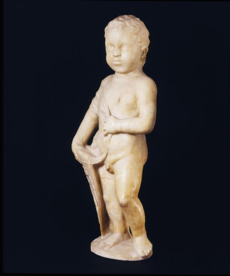 Putto with a Shield top image