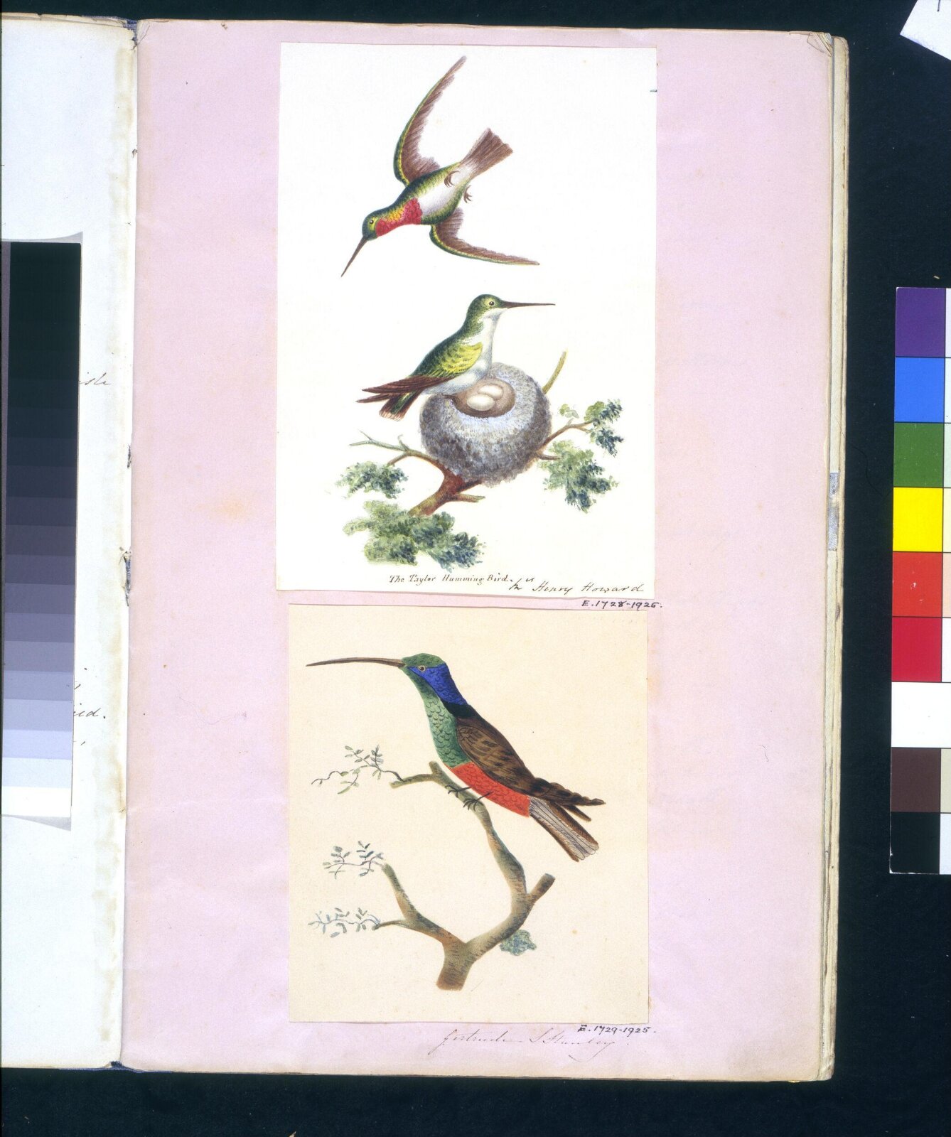 Sutherland Album, Gertrude Stanley, 1800-1825