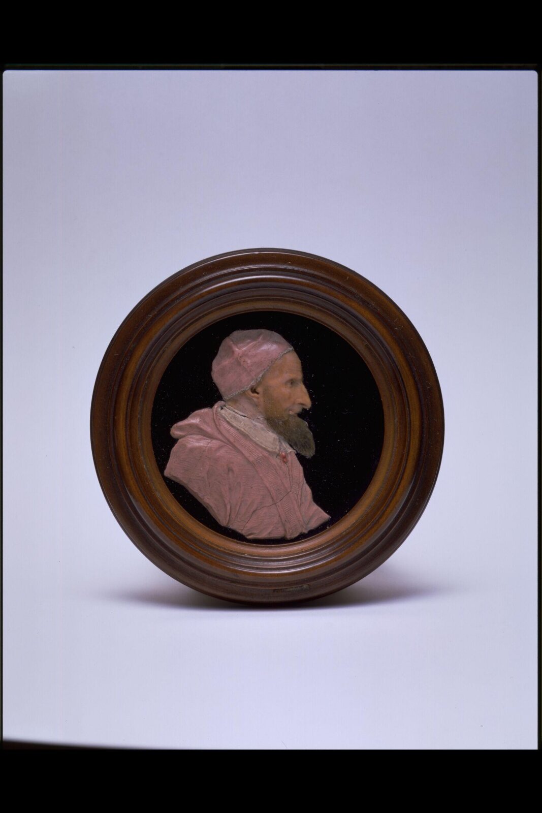 Pope Pius V, Giovanni Antonio de' Rossi, 1566