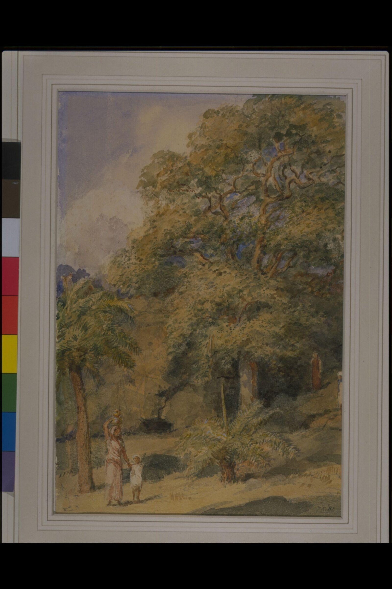 Study of a tamarind tree and date palms near Sir William Yardley's house at Breach Candy, Bombay, William Carpenter, December 1850