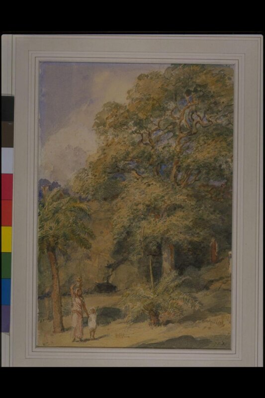 Study of a tamarind tree and date palms near Sir William Yardley's house at Breach Candy, Bombay