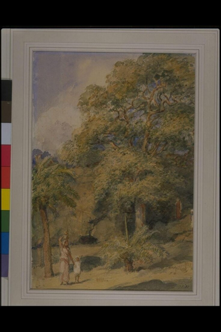 Study of a tamarind tree and date palms near Sir William Yardley's house at Breach Candy, Bombay top image