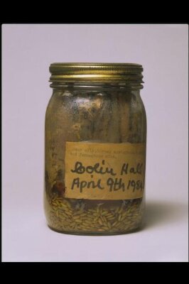 Book in a jar