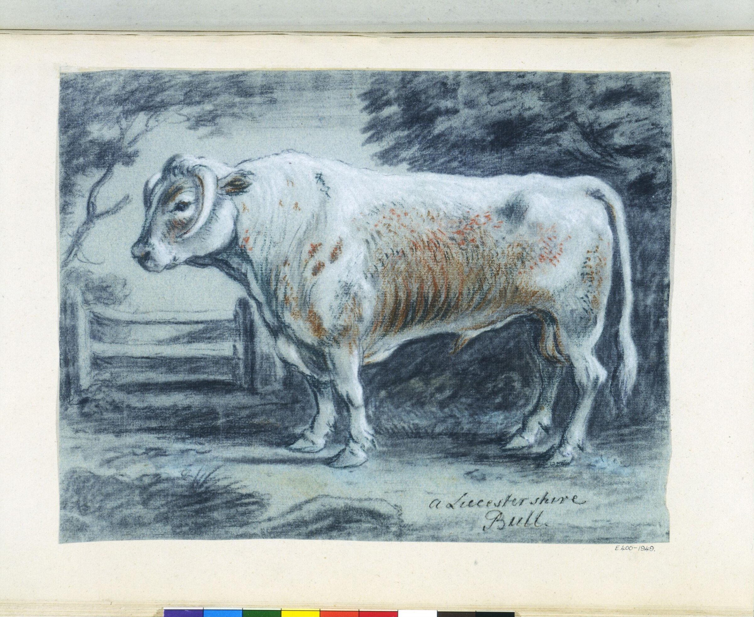A Leicestershire Bull, Coplestone Warre Bampfylde, c.1770 to c.1780