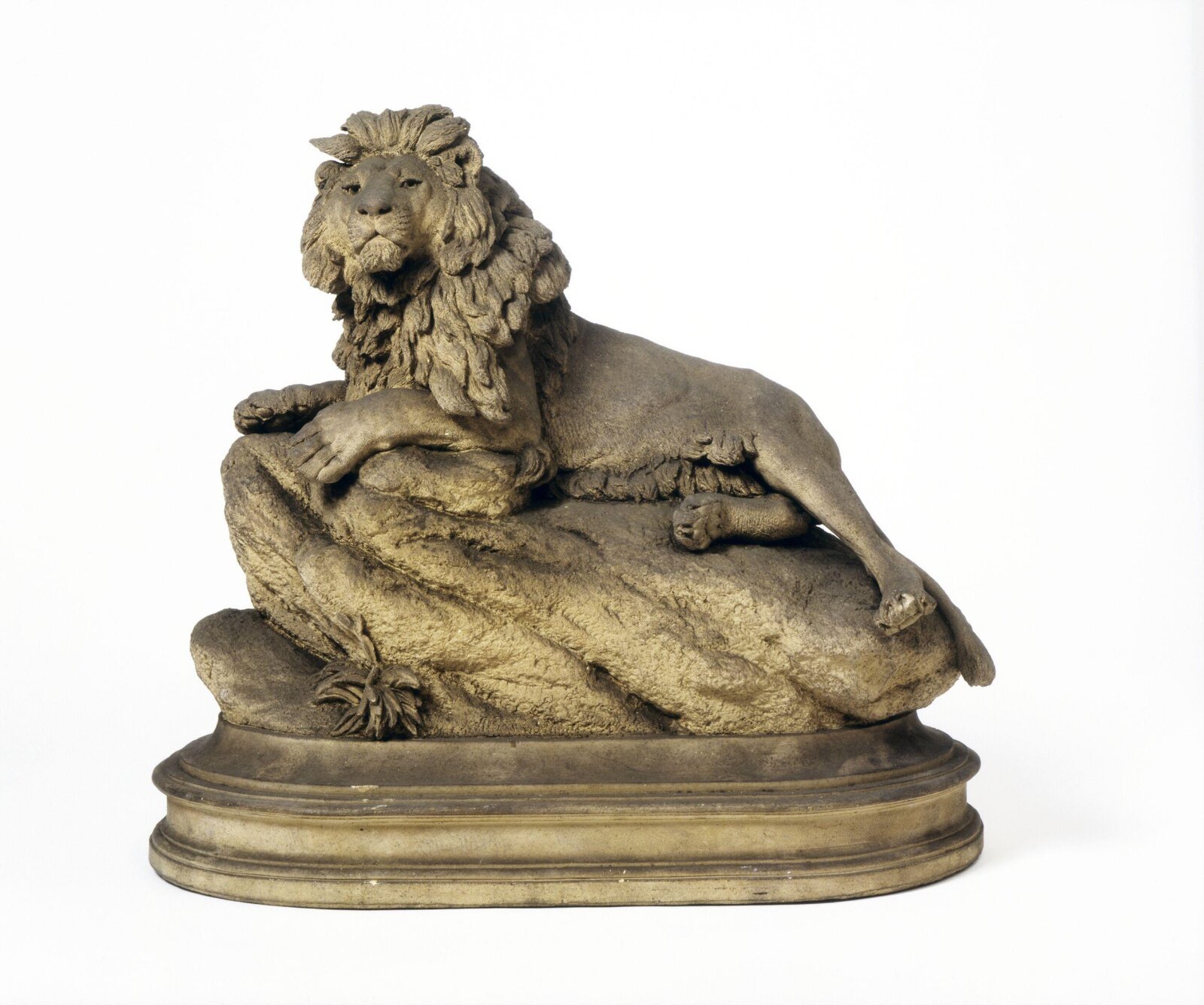 Lion, Paussinger, ca. 1800 - ca. 1891