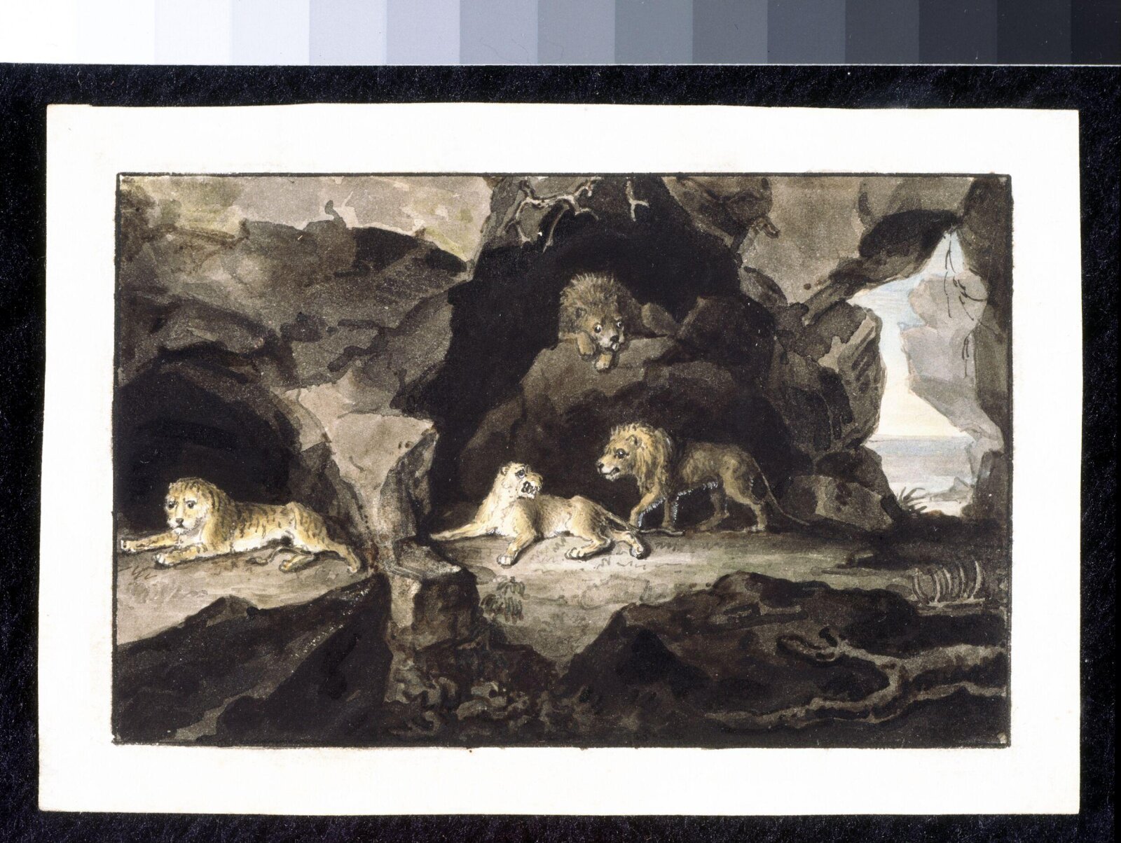 Lions and Lionesses, ca. 1810
