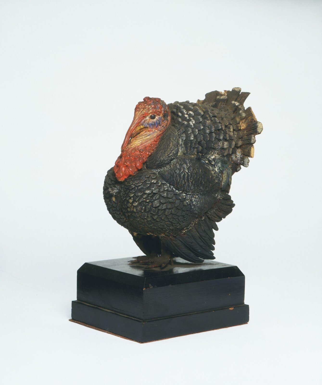 Turkey Cock, ca. 1850