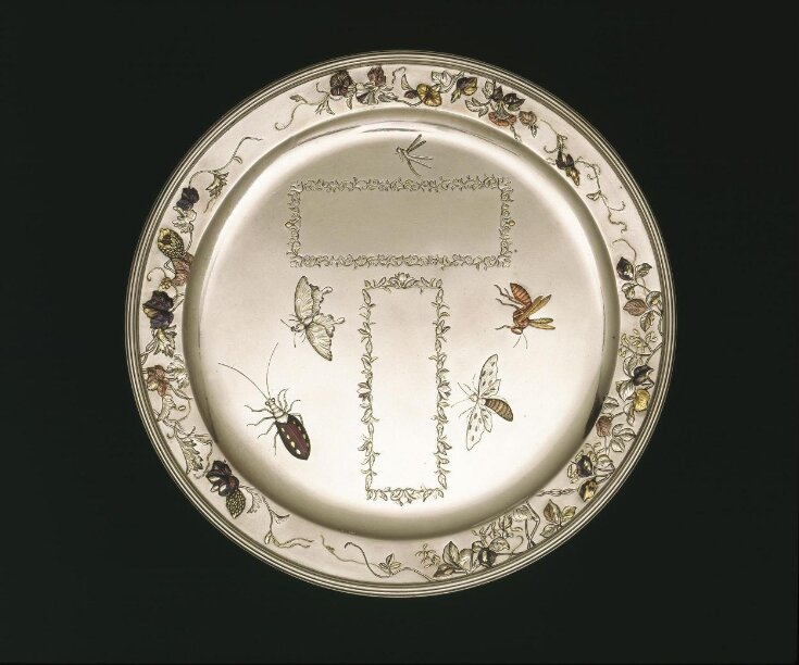 Plate top image