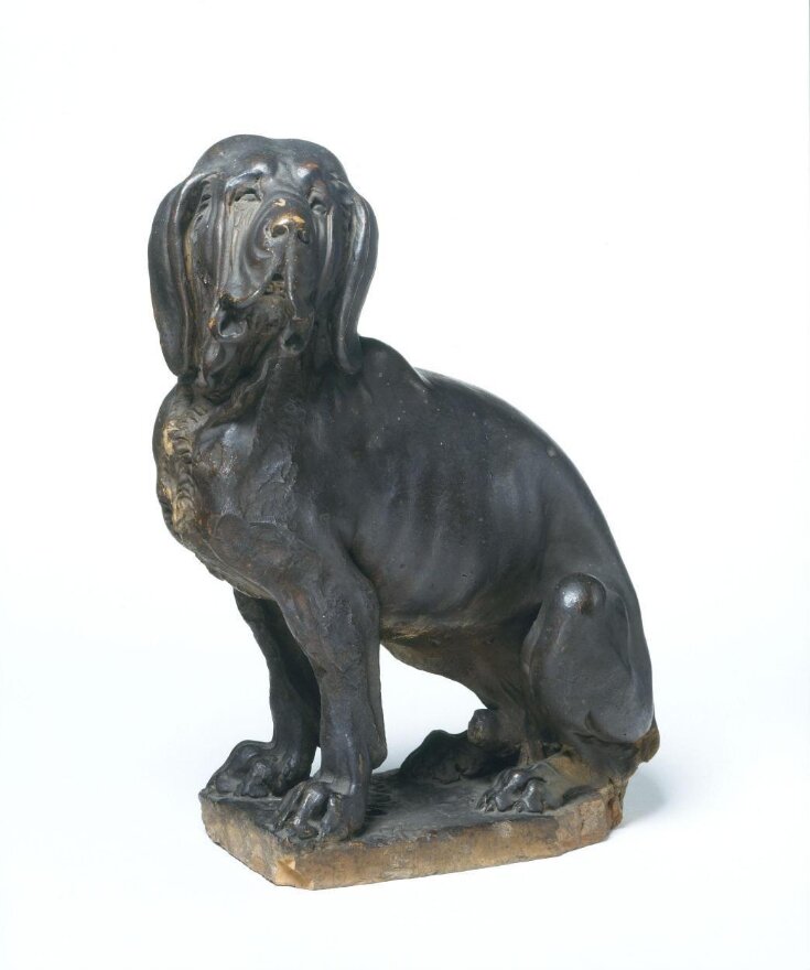 Bloodhound or basset hound top image
