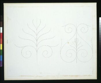 Elementary Outlines of Ornament