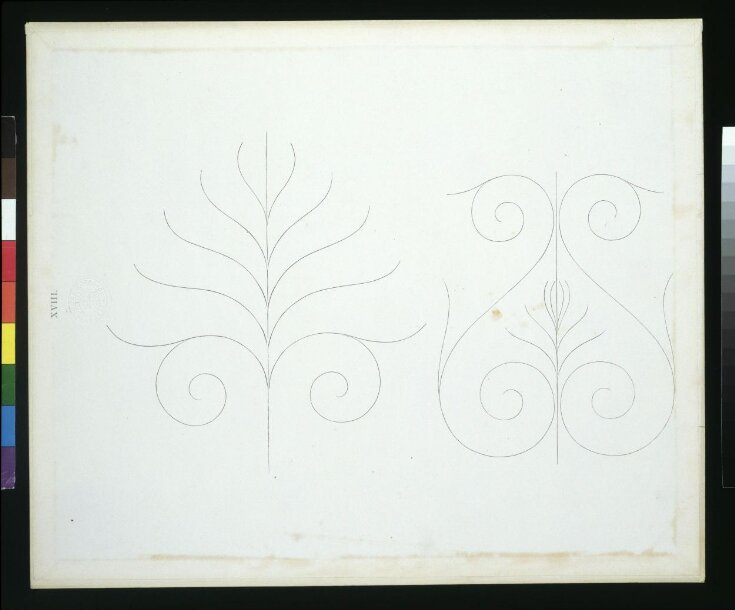 Elementary Outlines of Ornament image