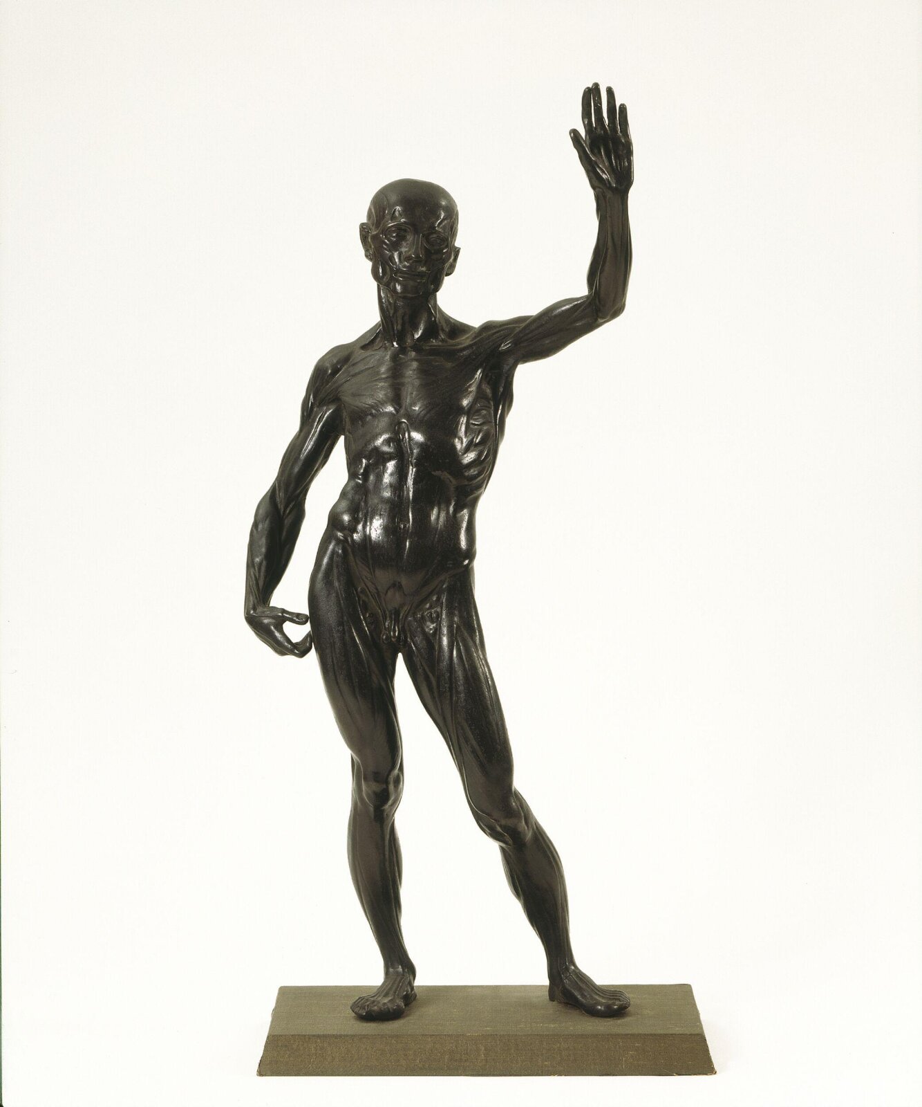 Anatomical figure, after Ludovico Cigoli, ca. 1580