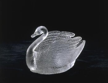 Swan