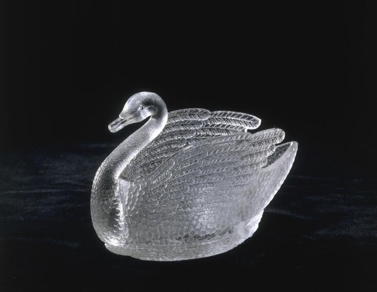 Swan top image