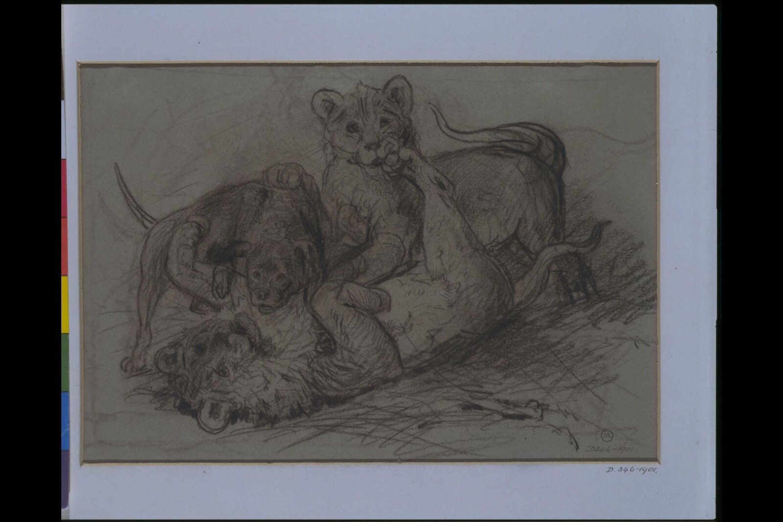 Drawing
