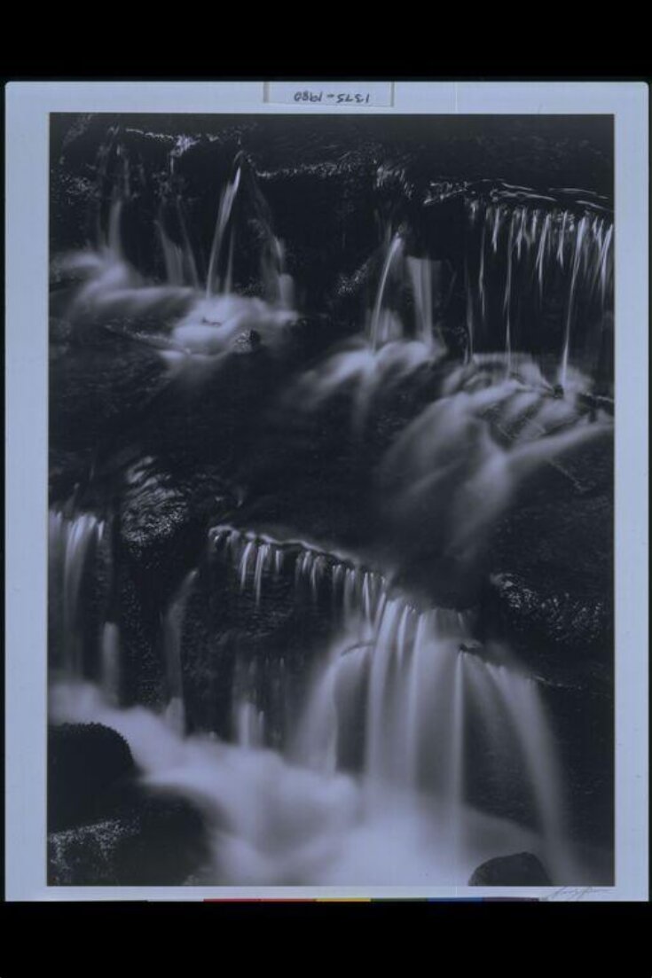 Fern Spring, Yosemite National Park, California top image