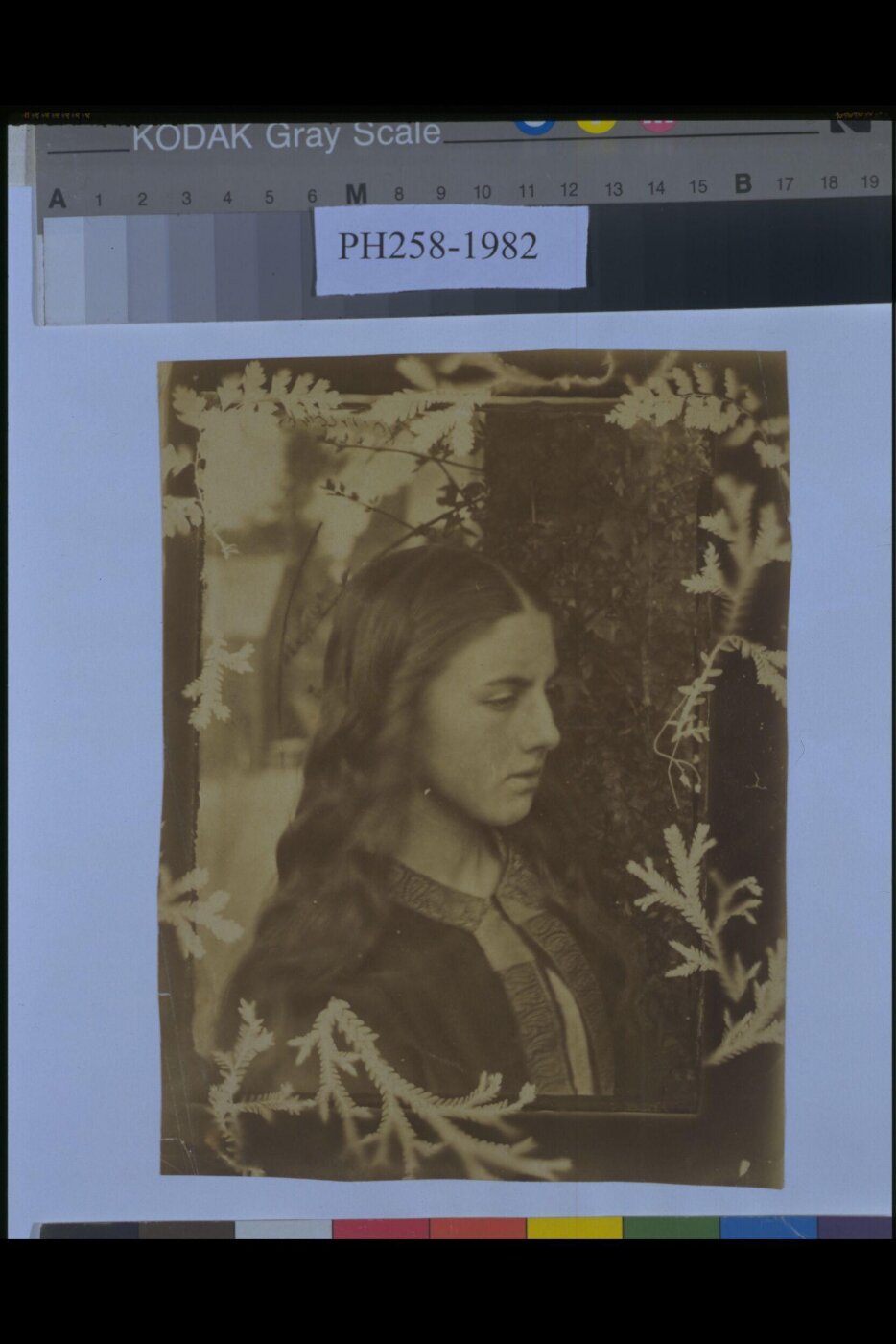 Cameron, Julia Margaret, Kate Dore