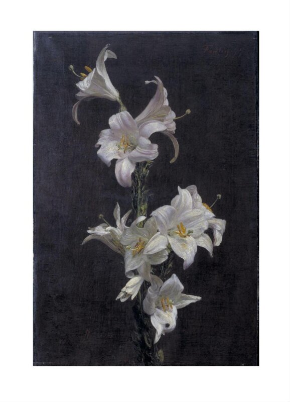 White Lilies