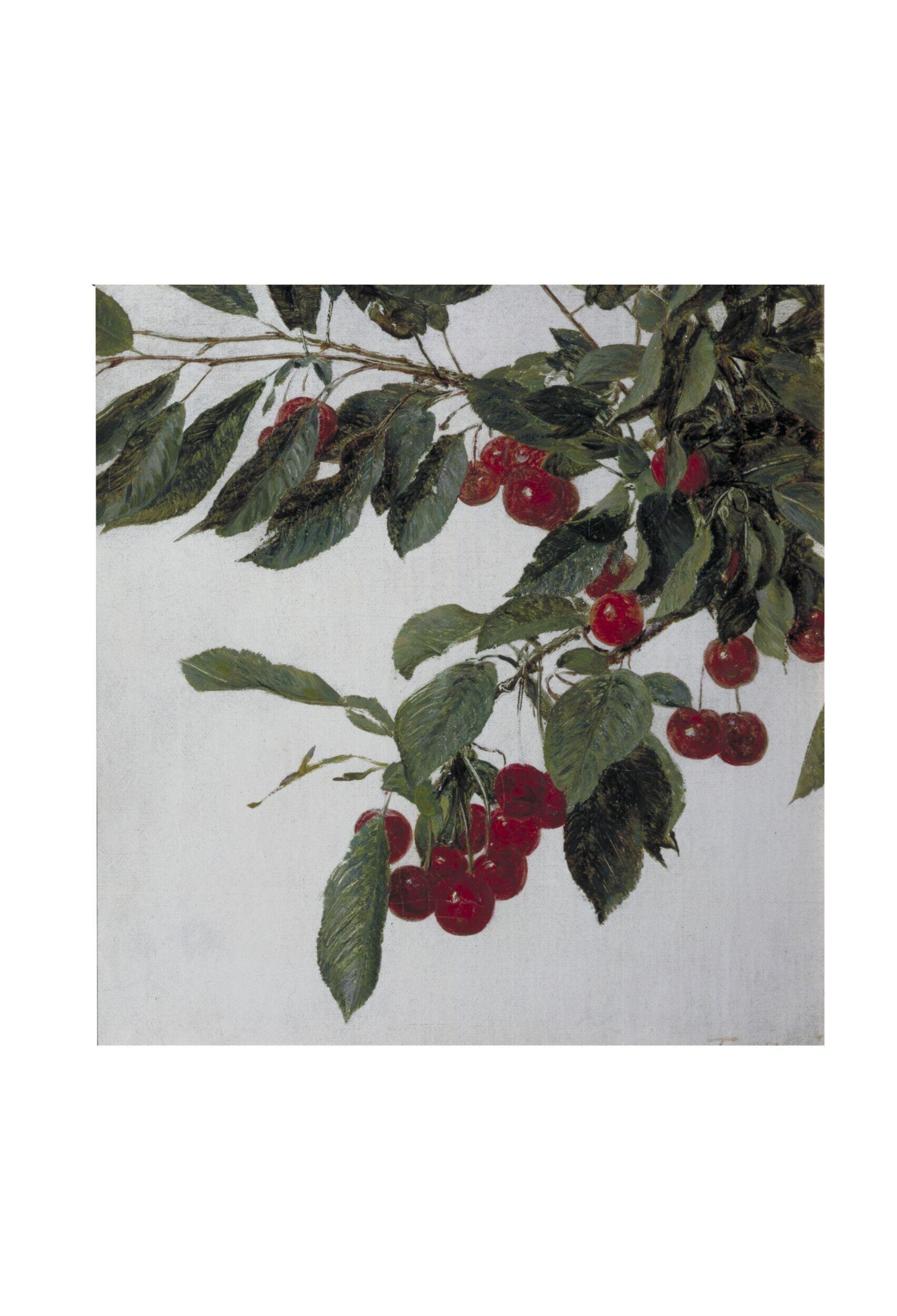Cherries