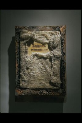 Agrippa : a book of the dead