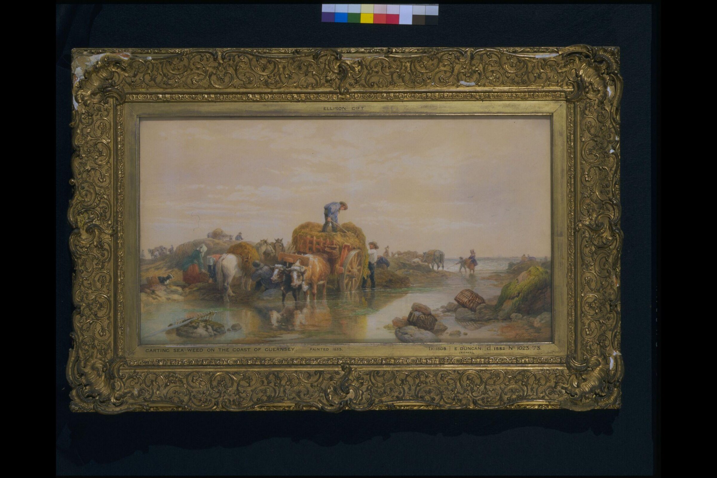 Carting seaweed on the coast of Guernsey, Edward Duncan, 1853