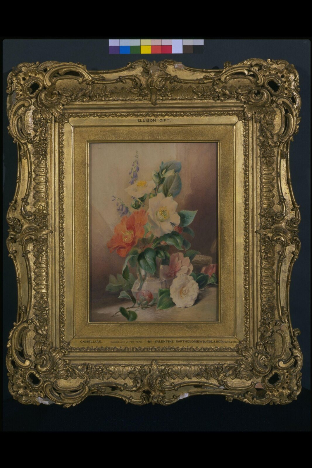 Camellias, Valentine Bartholomew, 1840
