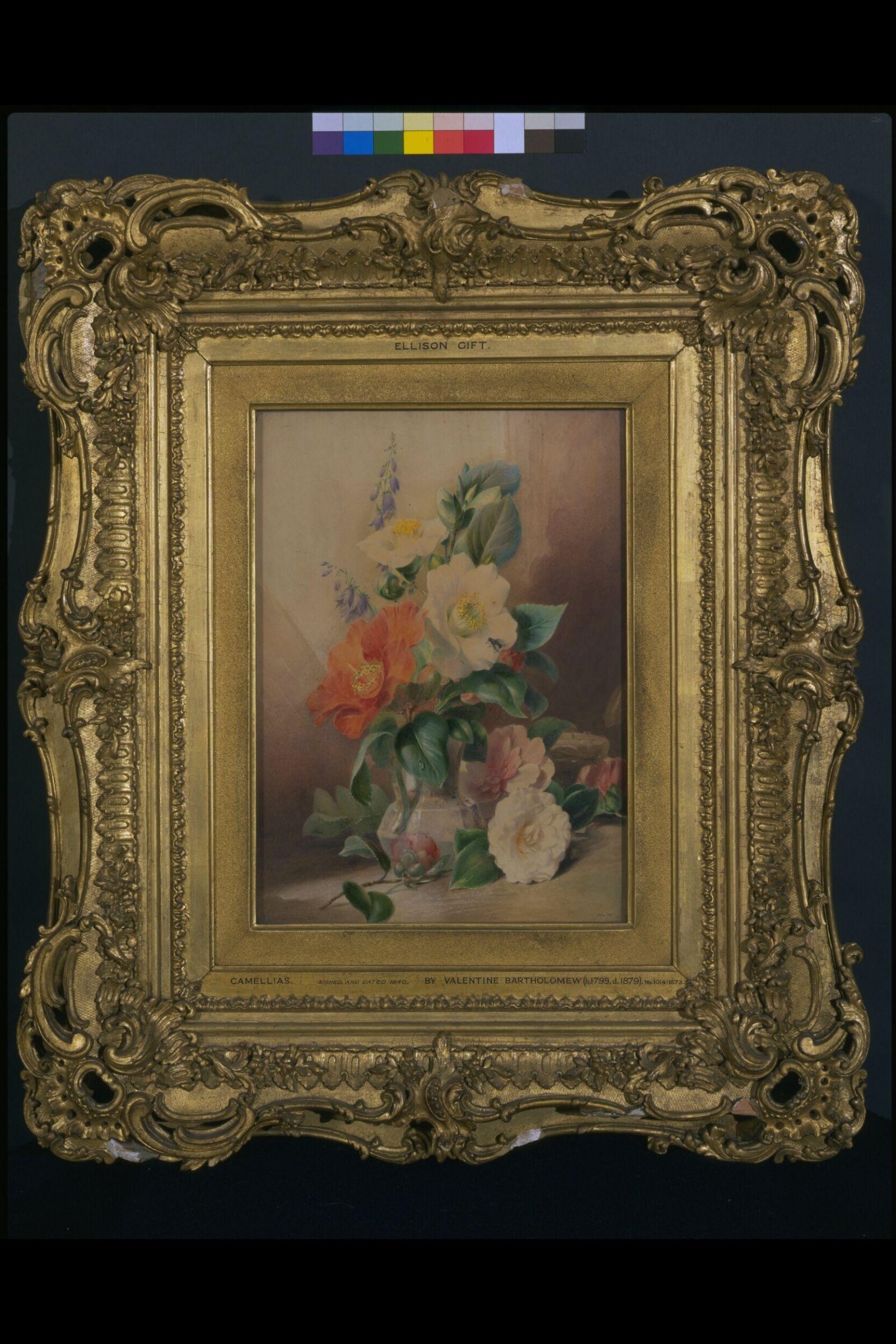 Camellias, Valentine Bartholomew, 1840