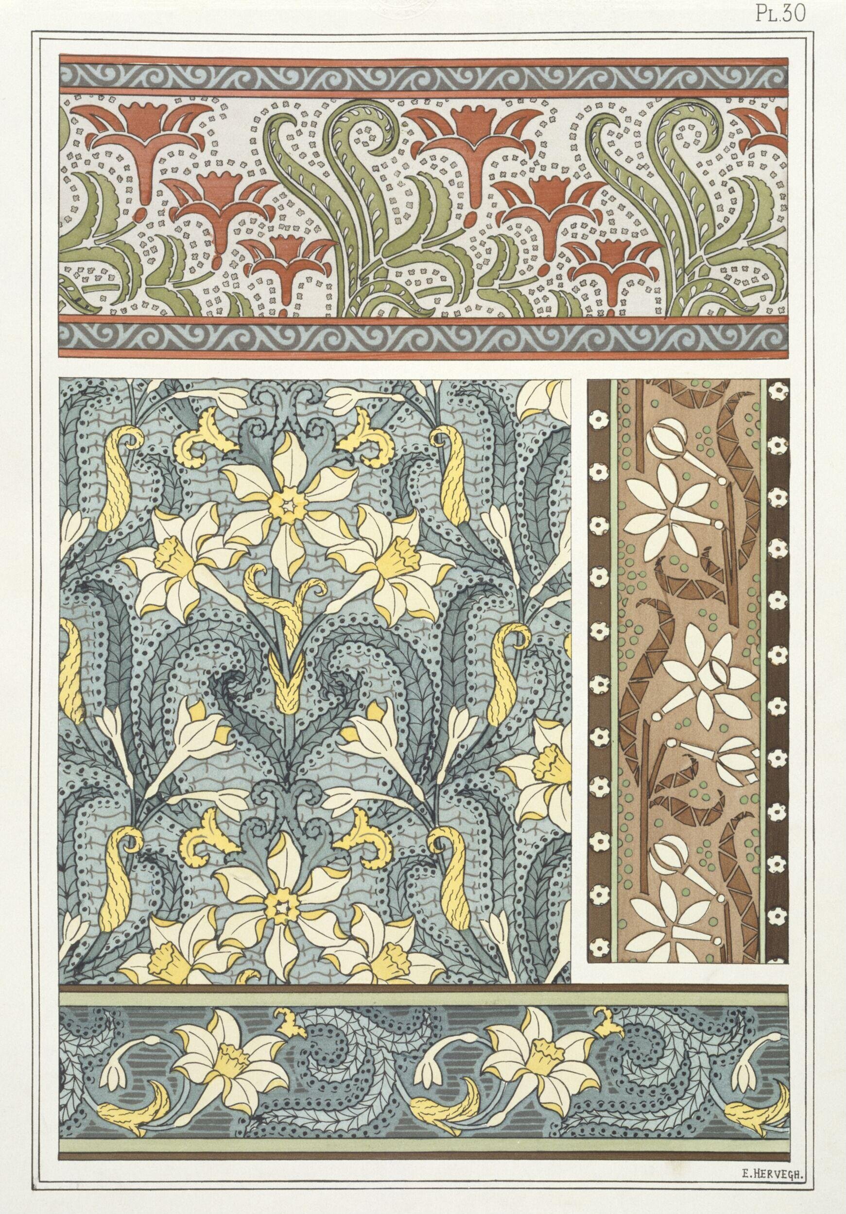 Plants and their application to ornament