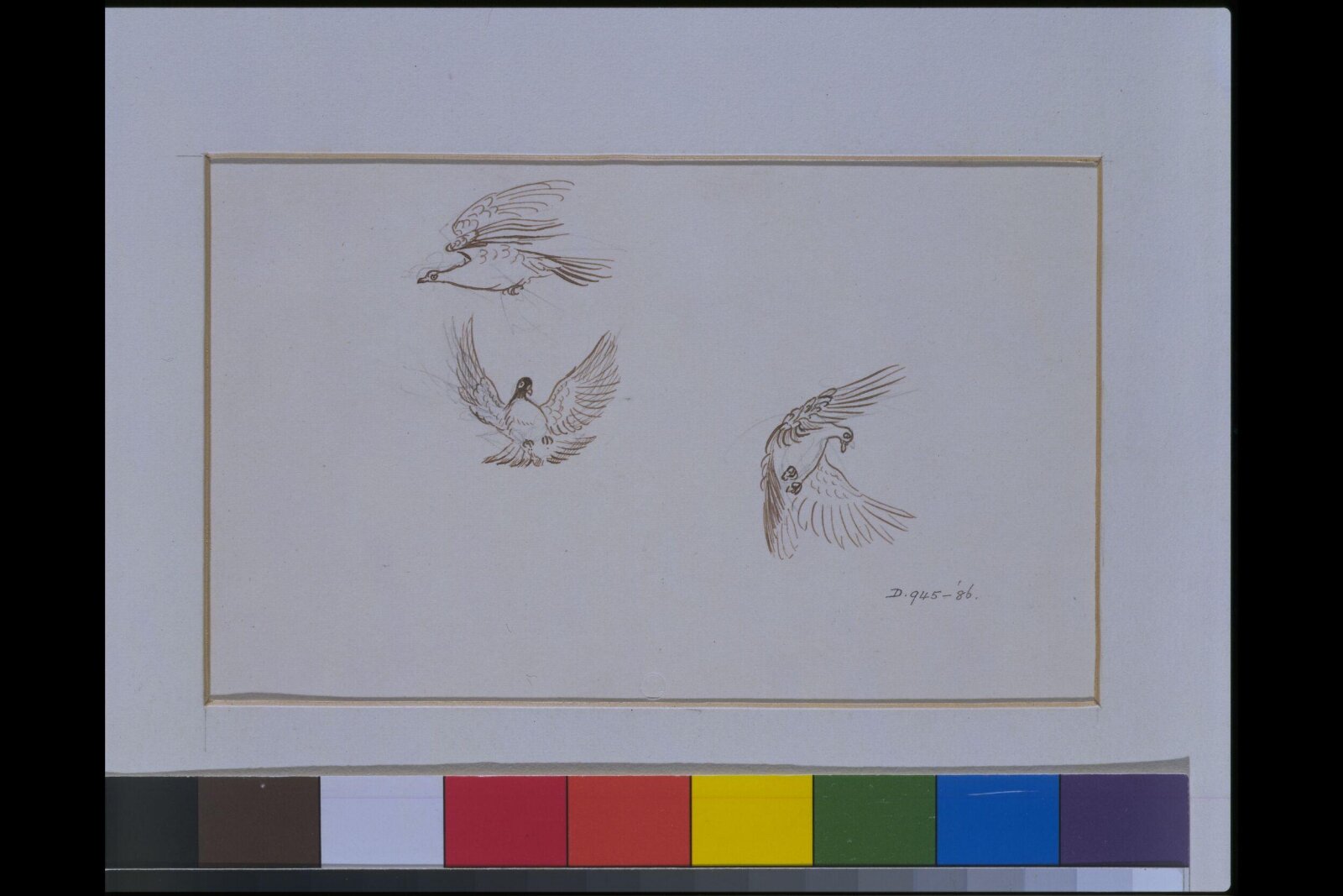 Daddy Darwin's Dovecot, Caldecott, ca. 1884