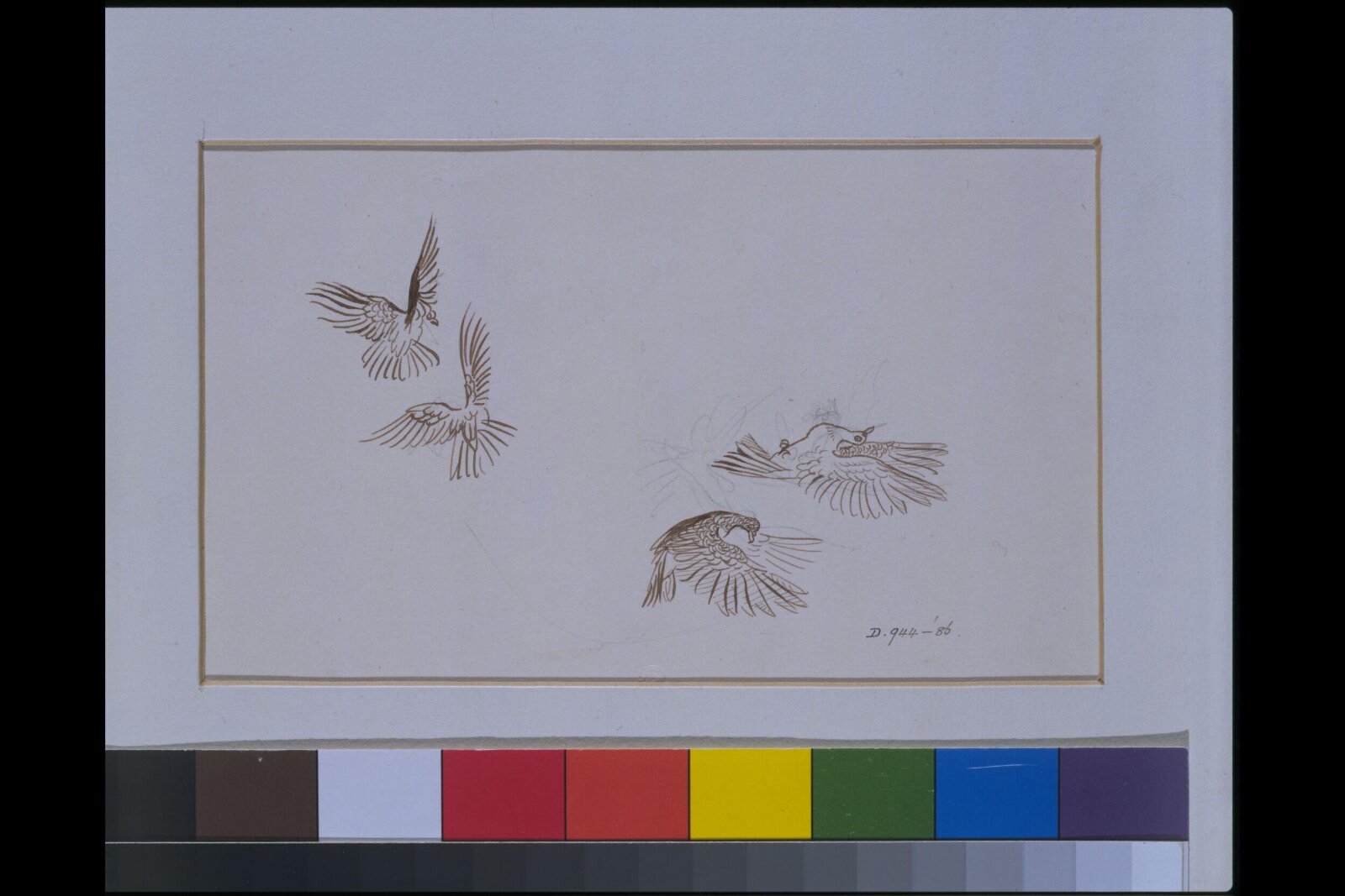 Daddy Darwin's Dovecot, Caldecott, ca. 1884