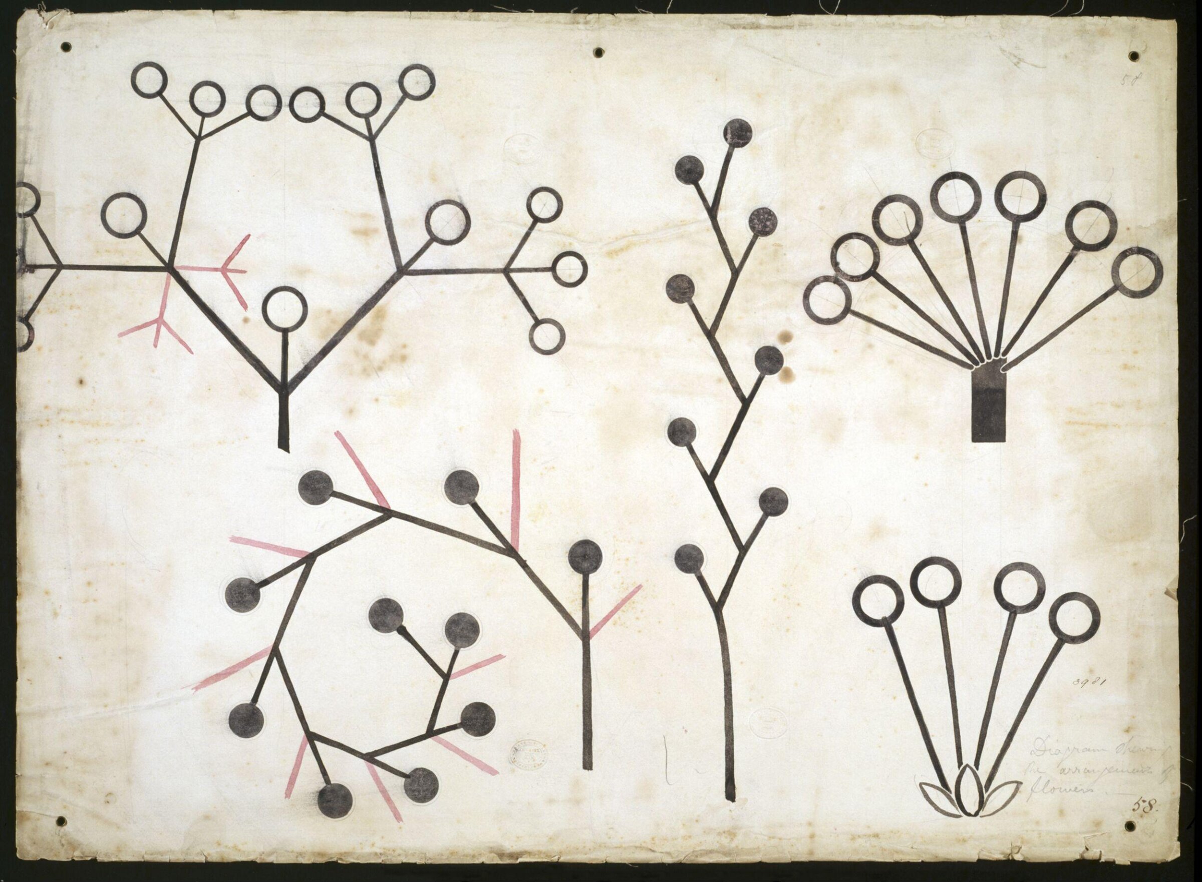Diagram to illustrate design lectures, Christopher Dresser, 1854-1856