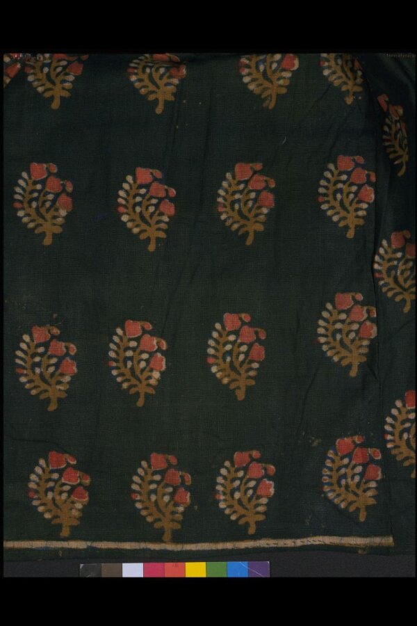 Ghagra | V&A Explore The Collections