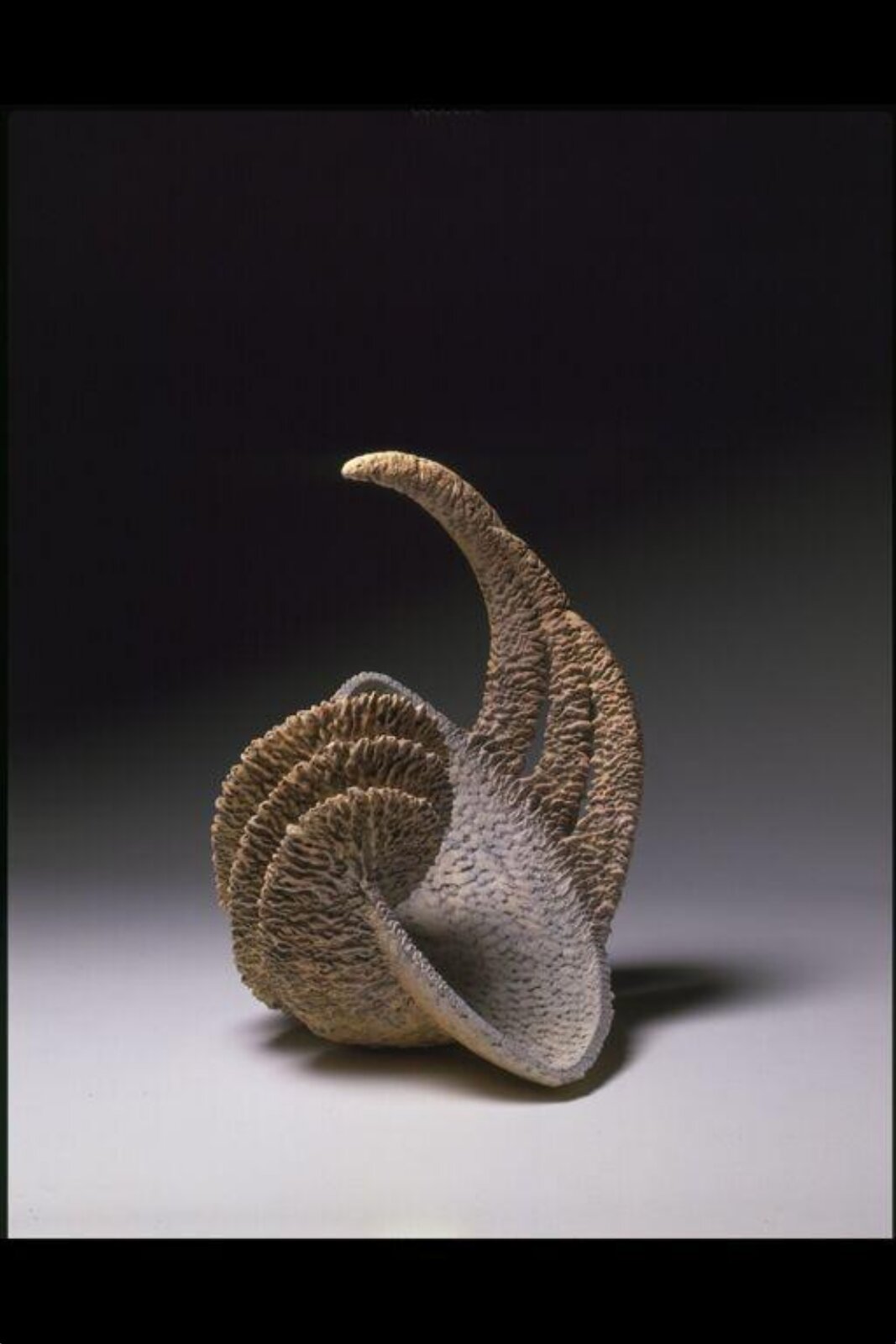Sculpture, Steve Buck, 1987