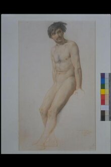 Study of a standing male nude thumbnail 1