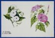 Design for embroidery in coloured silks thumbnail 2