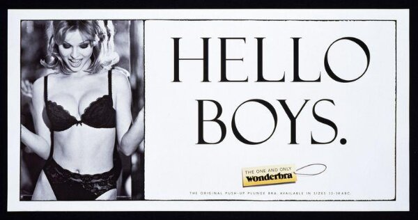 Wonderbra  Wonder bra, Creative advertising campaign, Print ads