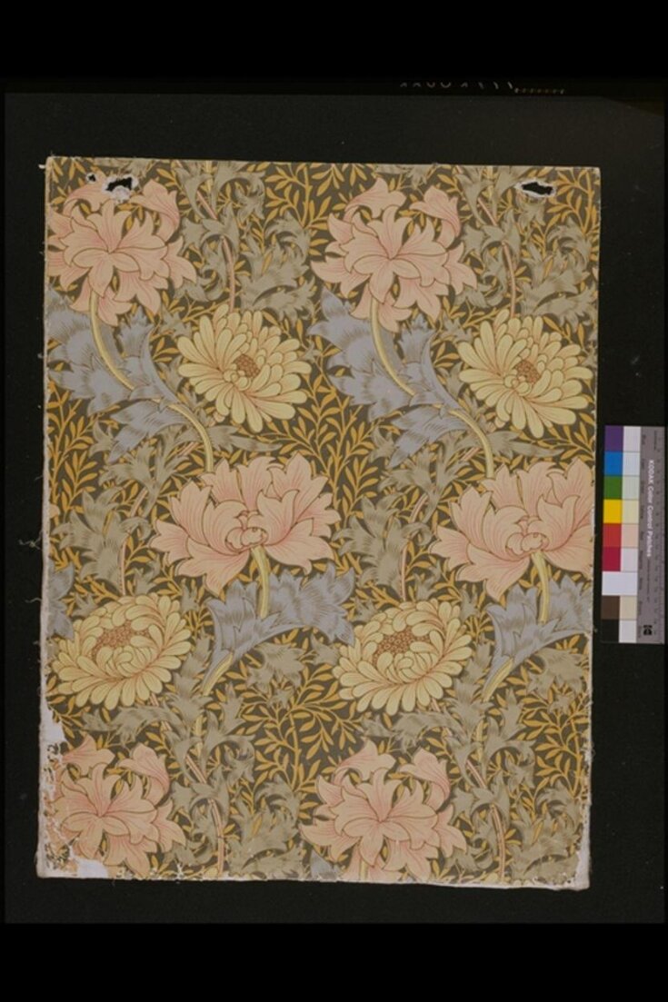 Chrysanthemum | Morris, William | V&A Explore The Collections