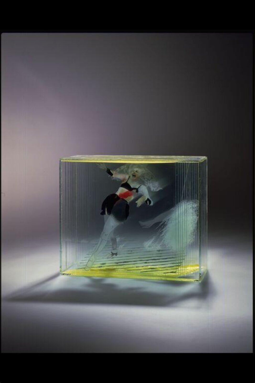 Two Cats, Dana Zamecnikova, 1984