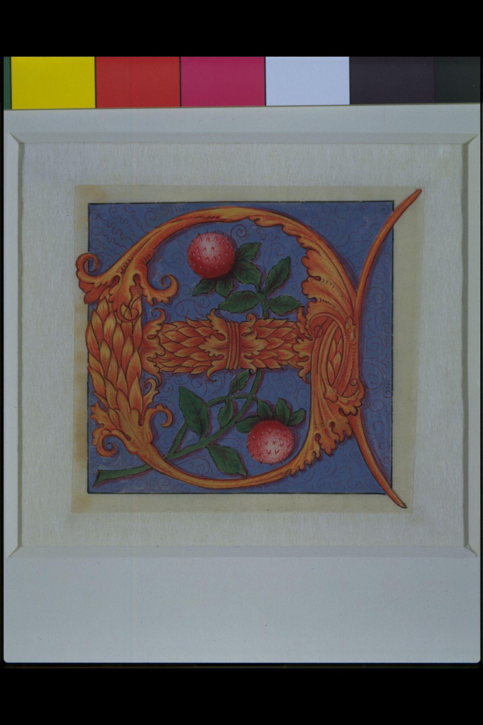 Illumination copied after medieval models, C. Barison, before 1893