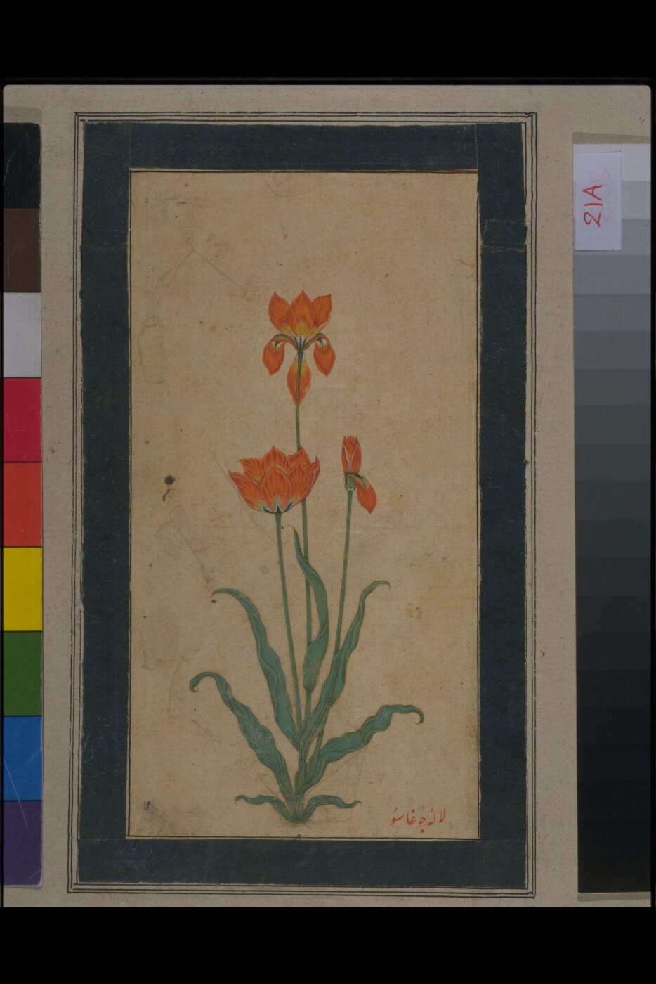 Unknown, Painting