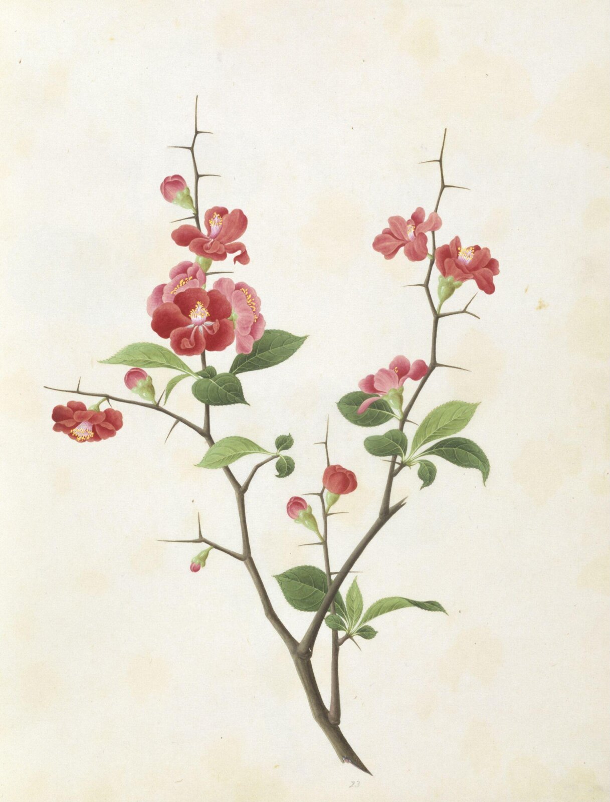 Painting, 19th century