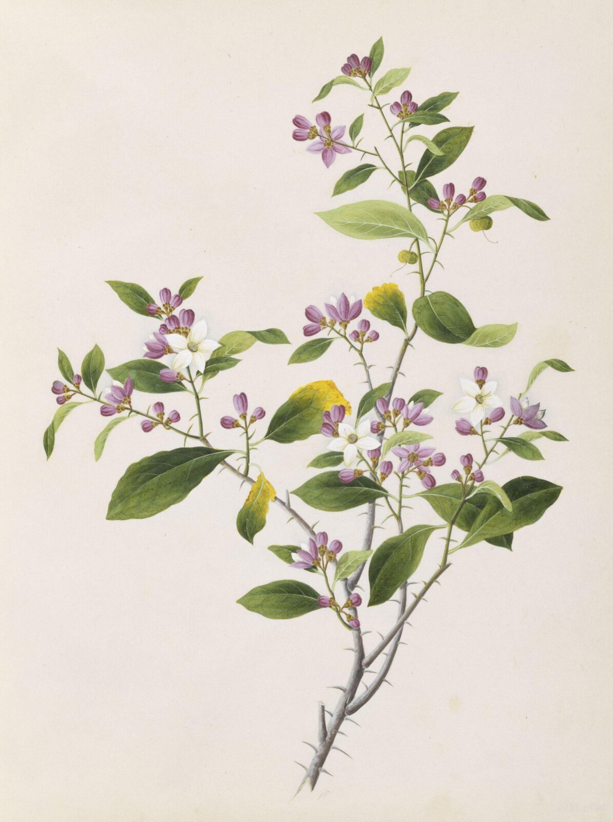 Painting, 19th century