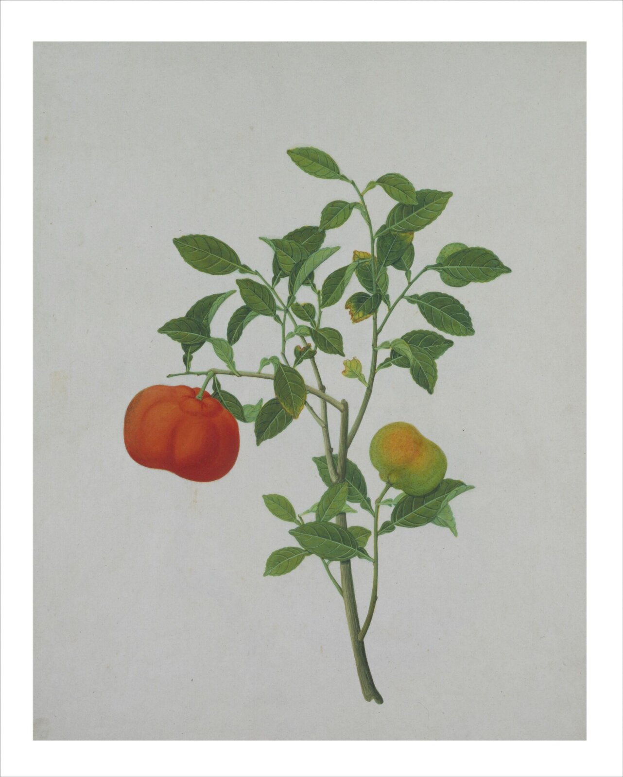 Watercolour drawing, first quarter 19th century