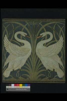 Swan, Rush and Iris