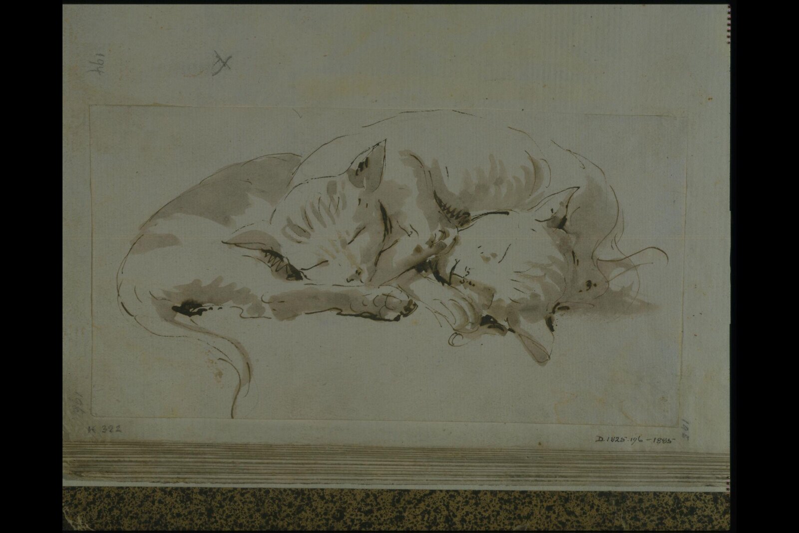 Two cats, Giovanni Battista Tiepolo, 18th century