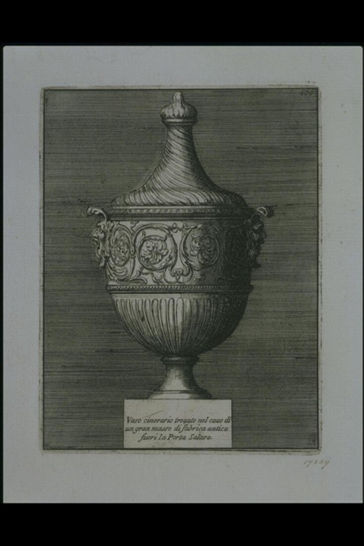 Roman cinerary urn top image