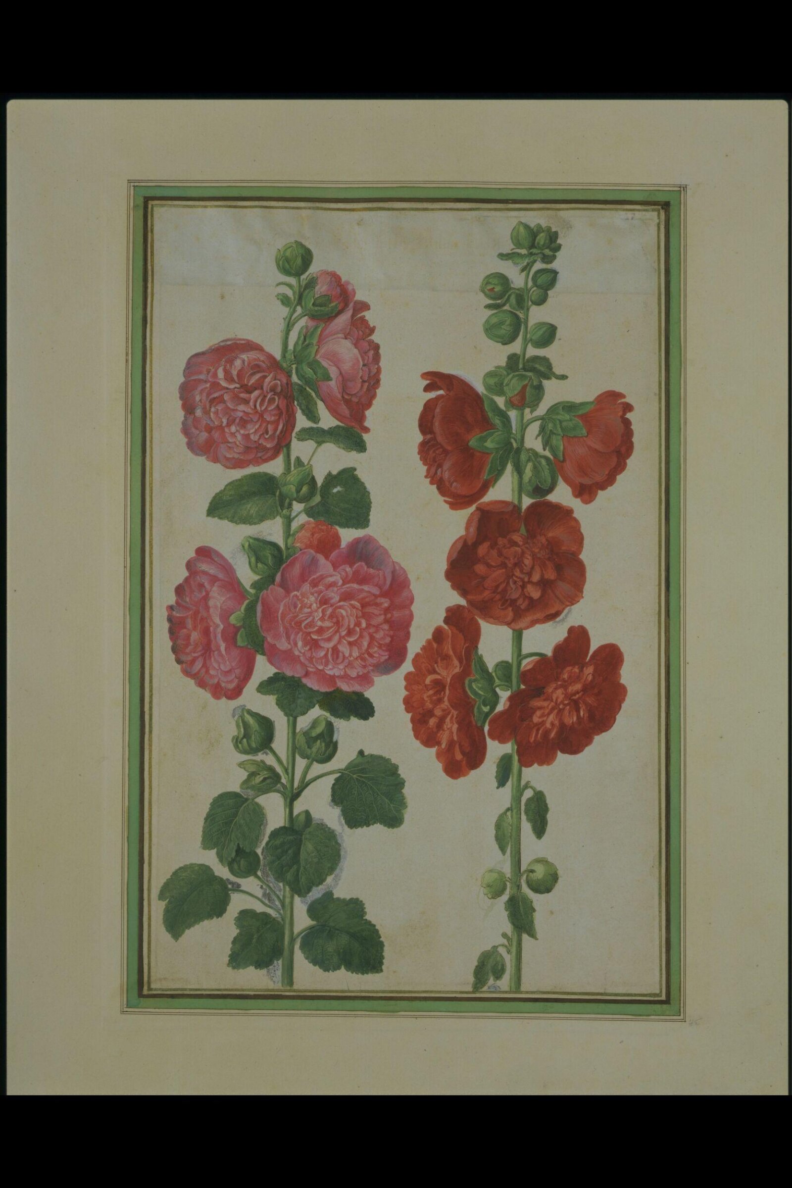 Watercolour, Johann Jakob Walther, 1654